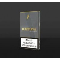 Fortuna SS Gray
