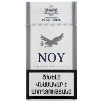 Noy Lights