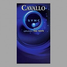 Cavallo Sync ОАЭ